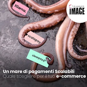 Pagamenti Scalabili Online: Confronto tra Scalapay, Klarna e Clearpay – Quale Scegliere per il Tuo eCommerce?